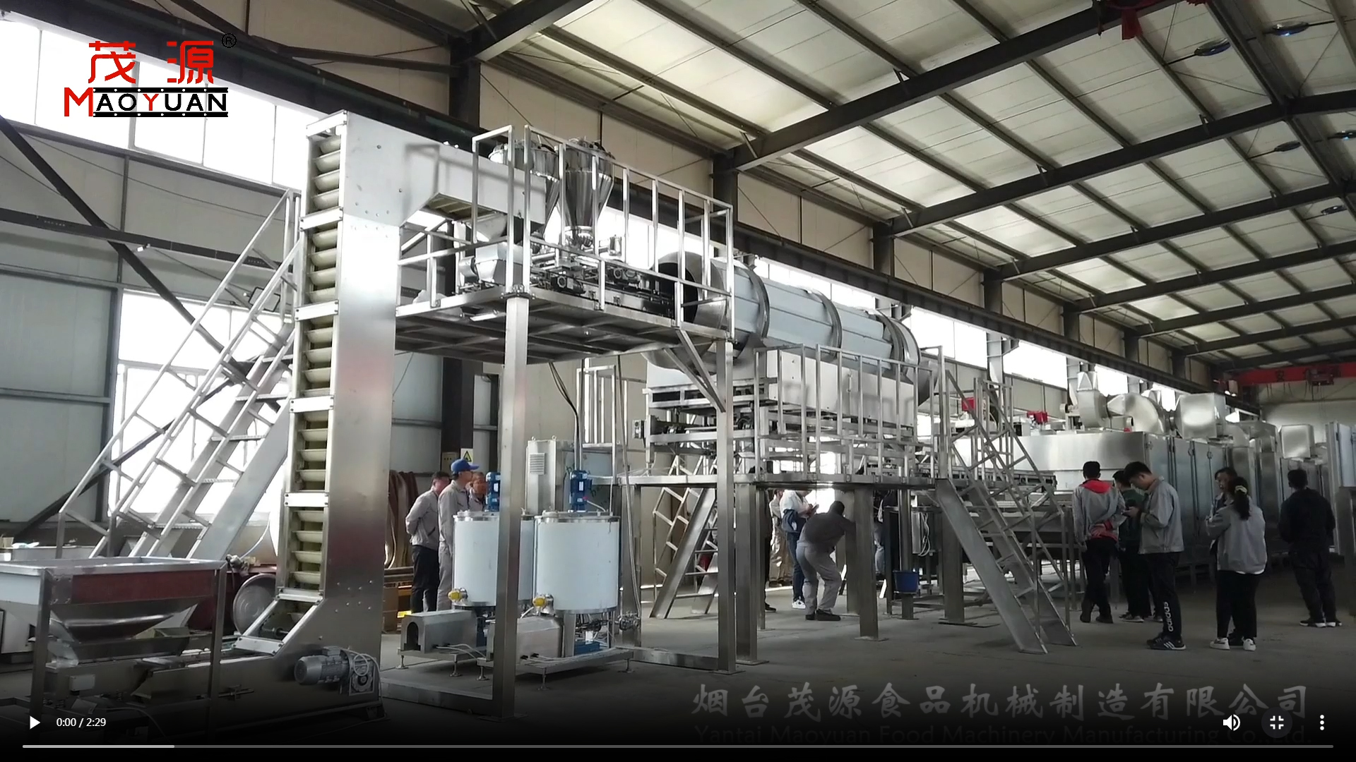 調味果仁烘烤生產(chǎn)線